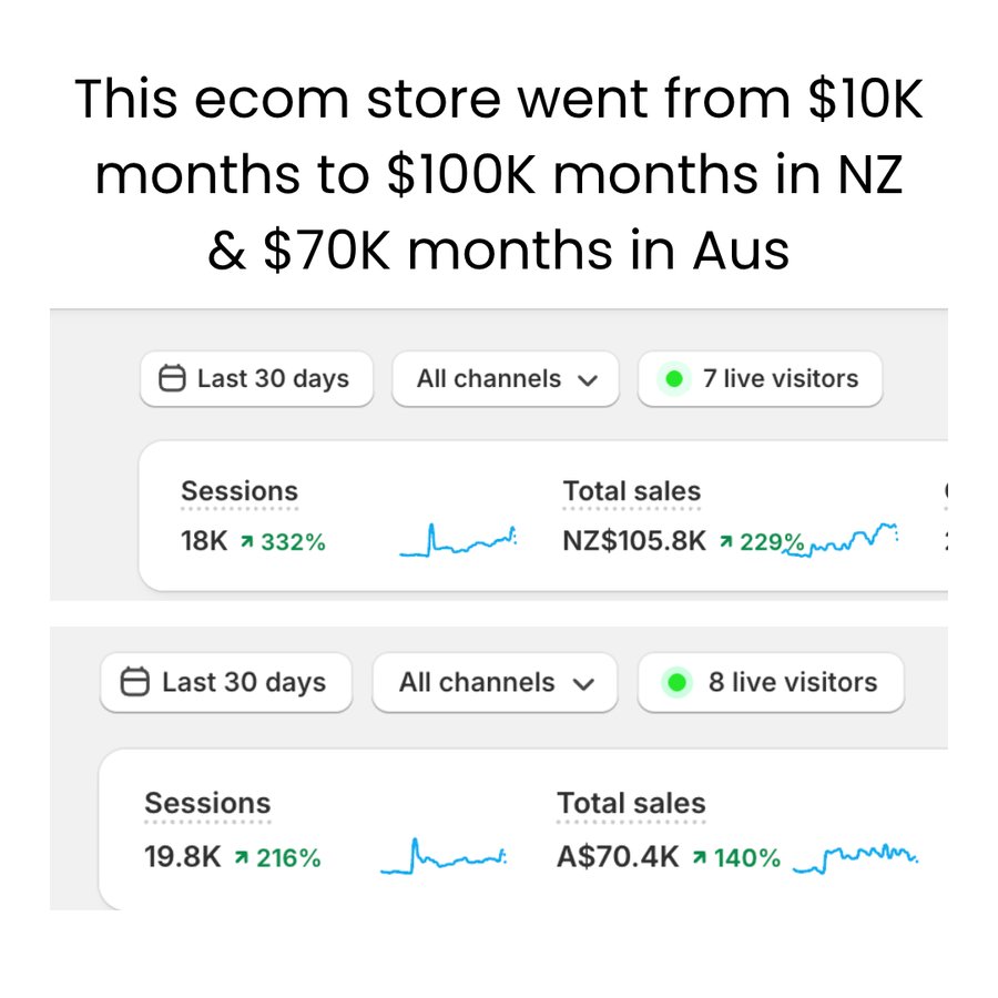 An online store went from $10K months to $100K months in NZ and $70K months in Australia